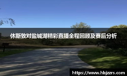 休斯敦对盐城湖精彩直播全程回顾及赛后分析